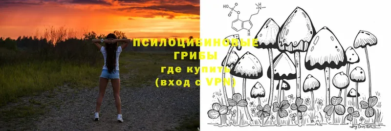 даркнет сайт  Кадников  Галлюциногенные грибы Cubensis 